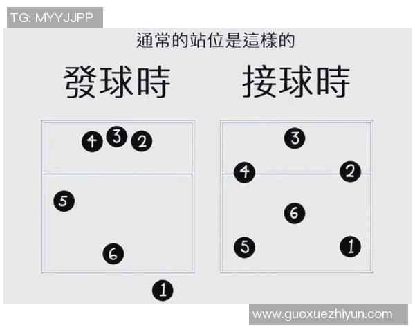 科学排球训练方法与比赛经验的全面解析与应用技巧 科学排球训练方法与比赛经验的全面解析与应用技巧
