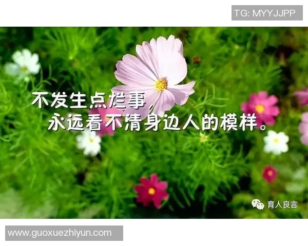 张军的排球人生：从球场拼搏到心灵对话的深度探索