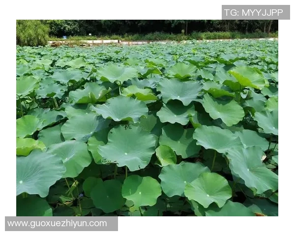 舞动人生的节奏：吴静与街舞的深度对话与心路历程