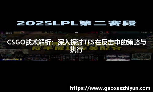 CSGO战术解析：深入探讨TES在反击中的策略与执行