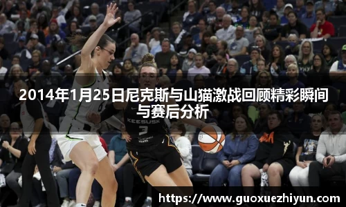 2014年1月25日尼克斯与山猫激战回顾精彩瞬间与赛后分析